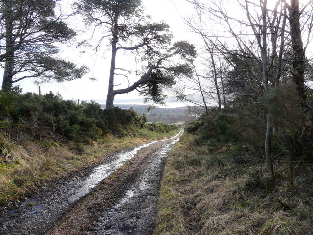 A wet track above Whiteface by sylvia duckworth is licensed under CC-BY-SA 2.0