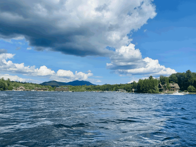 NY Protects Wild&nbsp;Spaces